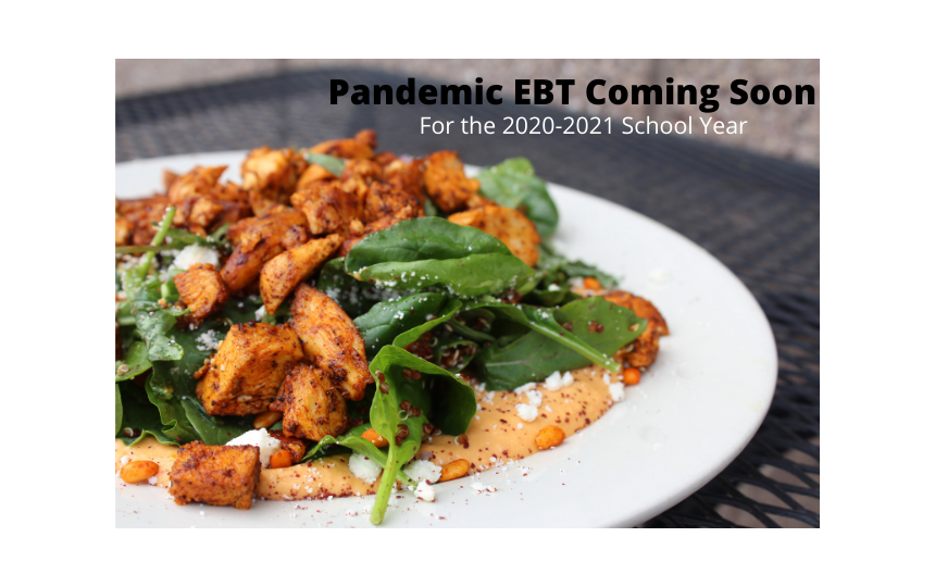 P-EBT Information