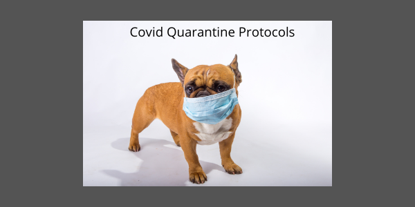 Covid Quarantine Protocols